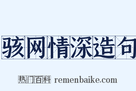 骇网情深造句是什么意思的图片